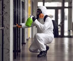 Best Mold Prevention Services  in Fort Washakie, WY